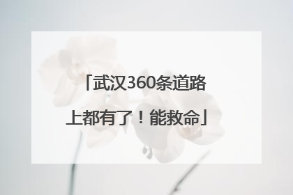 武汉360条道路上都有了！能救命