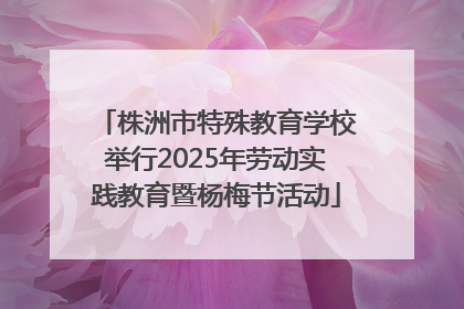 株洲市特殊教育学校举行2025年劳动实践教育暨杨梅节活动