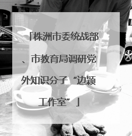 株洲市委统战部、市教育局调研党外知识分子“边颖工作室”
