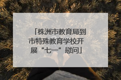株洲市教育局到市特殊教育学校开展“七一”慰问
