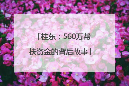 桂东：560万帮扶资金的背后故事