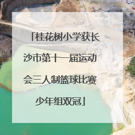 桂花树小学获长沙市第十一届运动会三人制篮球比赛少年组双冠