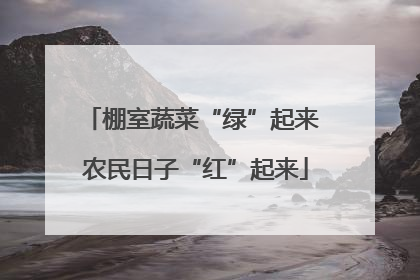 棚室蔬菜“绿”起来 农民日子“红”起来