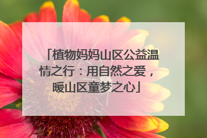 植物妈妈山区公益温情之行：用自然之爱，暖山区童梦之心