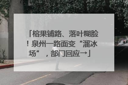 榕果铺路、落叶糊脸！泉州一路面变“溜冰场”，部门回应→