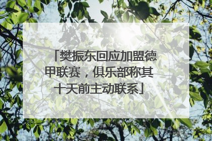 樊振东回应加盟德甲联赛，俱乐部称其十天前主动联系