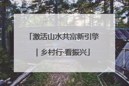 激活山水共富新引擎｜乡村行·看振兴