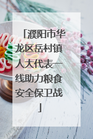 濮阳市华龙区岳村镇人大代表一线助力粮食安全保卫战