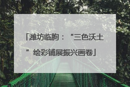 潍坊临朐：“三色沃土”绘彩铺展振兴画卷
