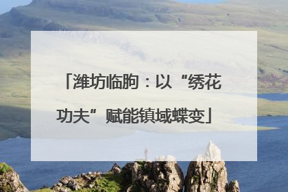 潍坊临朐：以“绣花功夫”赋能镇域蝶变