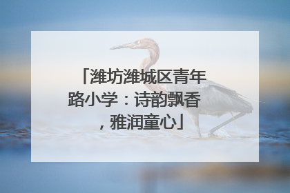 潍坊潍城区青年路小学：诗韵飘香，雅润童心