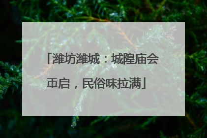 潍坊潍城：城隍庙会重启，民俗味拉满