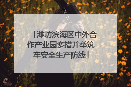 潍坊滨海区中外合作产业园多措并举筑牢安全生产防线