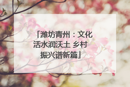 潍坊青州：文化活水润沃土 乡村振兴谱新篇