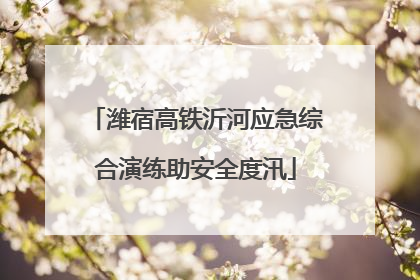 潍宿高铁沂河应急综合演练助安全度汛