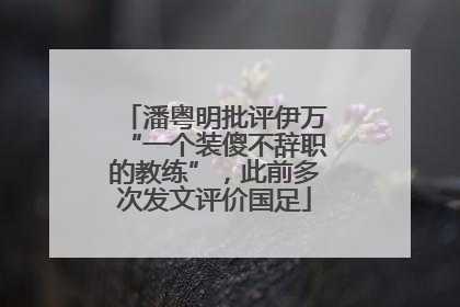 潘粤明批评伊万“一个装傻不辞职的教练”，此前多次发文评价国足