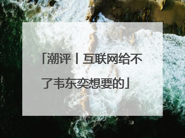 潮评丨互联网给不了韦东奕想要的