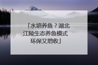 水塘养鱼？湖北江陵生态养鱼模式环保又增收