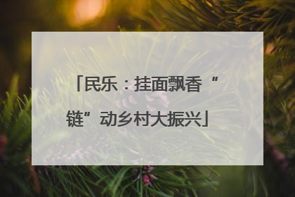 民乐：挂面飘香“链”动乡村大振兴