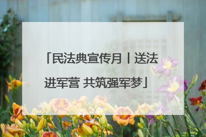 民法典宣传月丨送法进军营 共筑强军梦