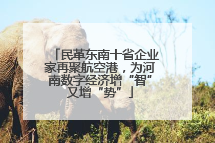 民革东南十省企业家再聚航空港，为河南数字经济增“智”又增“势”
