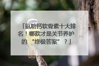 氨糖钙软骨素十大排名！哪款才是关节养护的 “终极答案”？