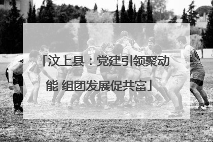 汶上县：党建引领聚动能 组团发展促共富
