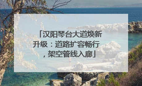 汉阳琴台大道焕新升级：道路扩容畅行，架空管线入廊