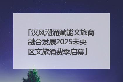 汉风潮涌赋能文旅商融合发展2025未央区文旅消费季启幕
