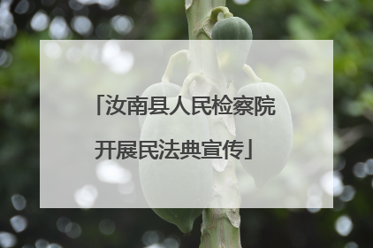 汝南县人民检察院开展民法典宣传