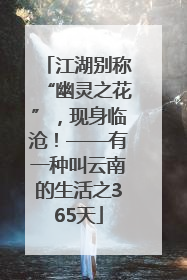江湖别称“幽灵之花”，现身临沧！——有一种叫云南的生活之365天
