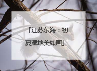 江苏东海：初夏湿地美如画