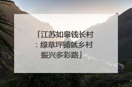 江苏如皋钱长村：绿草坪铺就乡村振兴多彩路