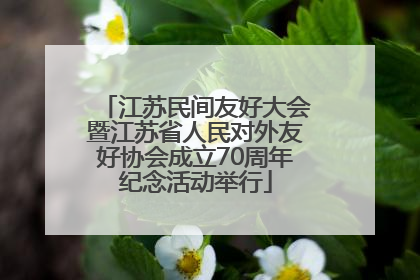 江苏民间友好大会暨江苏省人民对外友好协会成立70周年纪念活动举行