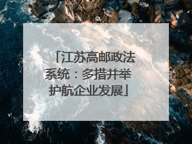 江苏高邮政法系统：多措并举护航企业发展