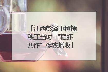 江西彭泽中稻插秧正当时 “稻虾共作”促农增收