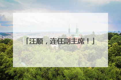汪顺，连任副主席！