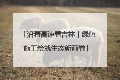 沿着高速看吉林｜绿色施工绘就生态新画卷