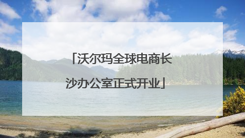 沃尔玛全球电商长沙办公室正式开业