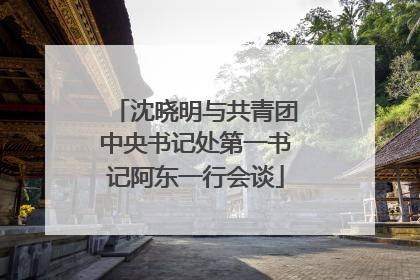 沈晓明与共青团中央书记处第一书记阿东一行会谈