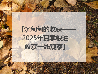 沉甸甸的收获——2025年夏季粮油收获一线观察