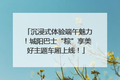 沉浸式体验端午魅力！城阳巴士“粽”享美好主题车厢上线！