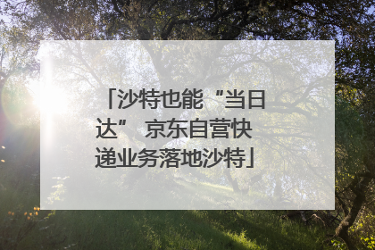 沙特也能“当日达” 京东自营快递业务落地沙特