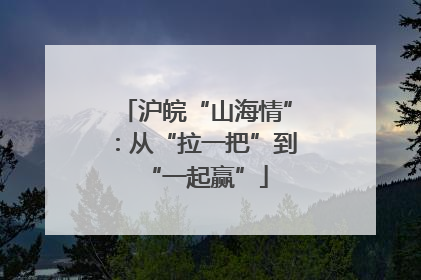 沪皖“山海情”：从“拉一把”到“一起赢”