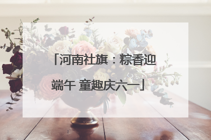 河南社旗：粽香迎端午 童趣庆六一