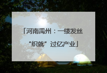河南禹州：一缕发丝“织就”过亿产业