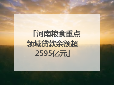 河南粮食重点领域贷款余额超2595亿元