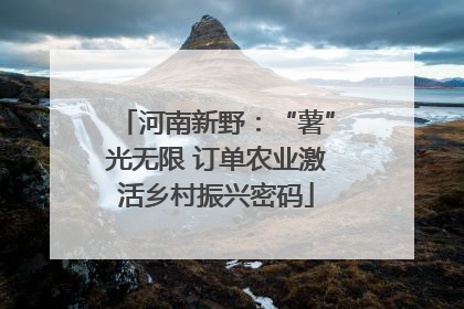河南新野：“薯”光无限 订单农业激活乡村振兴密码