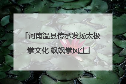 河南温县传承发扬太极拳文化 飒飒拳风生