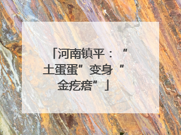 河南镇平：“土蛋蛋”变身“金疙瘩”